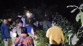 Months of fear come to an end as tiger haunting Indian village finally caught