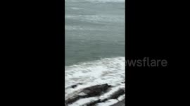Cyclone Alfred: Rough Seas At Snapper Rocks, QLD 2