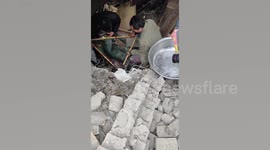 Giant 45lb salamander rescued from under rubble of house during demolition