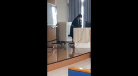 Bird brain! Pigeon gatecrashes university lecture in Taiwan