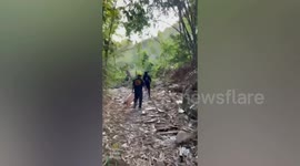 Wildlife ranger killed and another injured in elephant attack in Thailand
