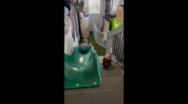 Boy Plays On Slide With Puppy Best Friend