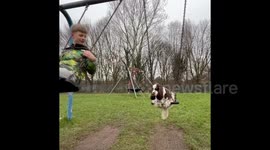 Dog Swings Next To Owner