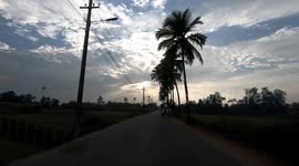 Fighter bull is taken for a walk on Benaulim beach in the Indian state of Goa