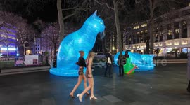Giant Cats take over Londons West End