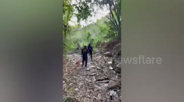 Wildlife ranger killed and another injured in elephant attack in Thailand