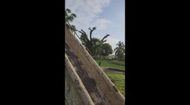 Pet dog excited by riding slide for the first time