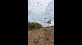 Incredible moment farmer is caught in mini-tornado as its lifts hay into sky