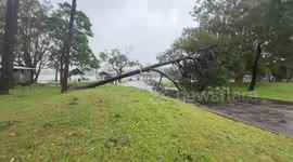 Tropical Cyclone Alfred: Strong Winds Cause Damage In Coolangatta