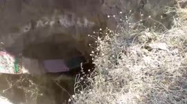 Leopard rescued from 30-foot-deep well using improvised ladder