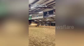 Woman hospitalized after being thrown from horse and dragged along the ground