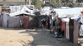Gaza Strip: Displaced Palestinians face worsening conditions amid aid blockade