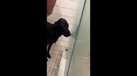 Pup Gives Side Eye During Bath Time