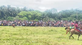 Tradisi Pasola di pulau sumba