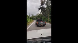 Wild elephant checks pickup trucks for snacks