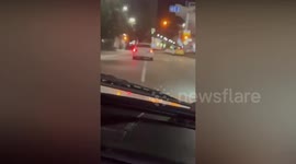 Taxi driver fined over mating raccoon customers on roof of his cab