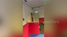 A lost pet parrot spooked by seagulls turns up 20 miles away from home