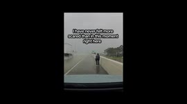A Dog Rescue on the 99 Tollway