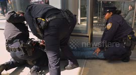 NY: Arrests at Tesla Showroom