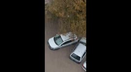 Deadly Floods in Argentina Leave Six Dead as Cars Float Through Streets