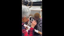 Elderly women in China showcase rare embroidery technique