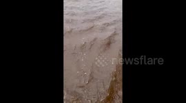 Australia: Ex-Cyclone Alfred Hits with Severe Weather and Flash Flooding 2