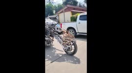 Predator cruises along highway on incredible motorbike in Thailand