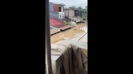 Monitor lizard swims through homes as floods submerge streets in Indonesia