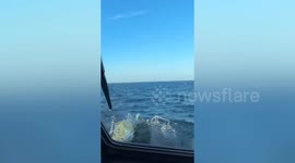 Stranded fishermen rescued from island amid high waves in Thailand
