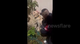 China: Police Comforting a Lost Dog