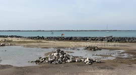 People practice wing foil in the stretch of sea near the old lighthouse where the construction of the cruise tourist port is planned in Fiumicino near Rome .