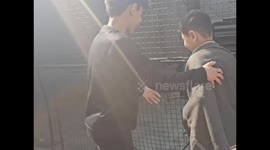 Child narrowly escapes tiger’s grasp in Lahore, Pakistan