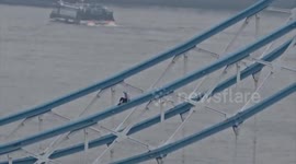 London: Tower Bridge Shut Down After Man Scales Railings