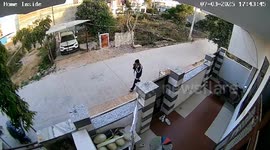 Schoolgirl survives horror attack by pack of eight dogs in India