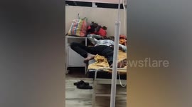 Dozens of rats climb over patient in hospital bed in India