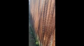 Someone’s Excited to See Me