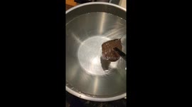 World's sharpest knife? Leaf in water satisfyingly sliced in half by knife