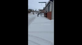 Santa Spotted Riding a Horse-Drawn Sleigh in Small Montana Town
