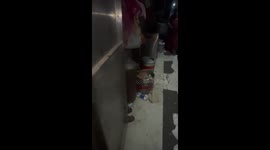 Family horrified to find dead rat in their food from Indian restaurant