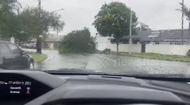 Tropical Cyclone Alfred leaves uprooted trees across roads in Australia