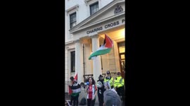 Palestine supports protest over arrest of 'fanatic who climbed Big Ben'