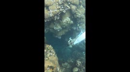 Freediver gets caught in unexpected current and makes a rapid return