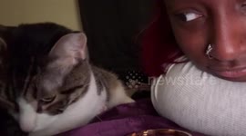 Cat jumps in surprise after owner's playful scare in North Carolina, USA
