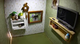 Wildlife fan sets up quirky birdbox - complete with luxury home furnishings