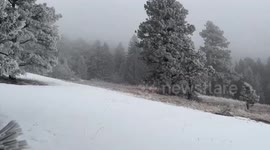 US: Moderate snowfall blankets the ground at Elk Meadow Park