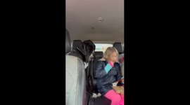 Gentle Giant Begs For Car Crackers