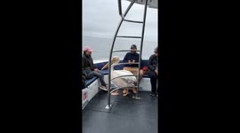Cheeky Pelican Enjoys Boat Ride