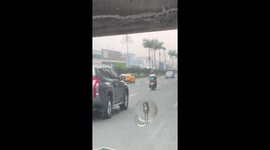 Chicken Finds New Way To Cross Road