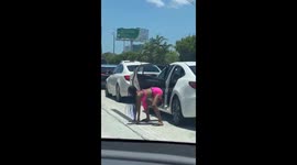 Twerking in Traffic (ID: 395808741)