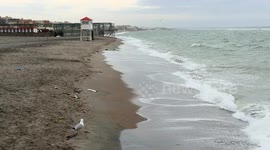 A seagull tries to eat a piece of soft rubber that appears to look like a fish on the Lido di Ostia seafront in Rome.